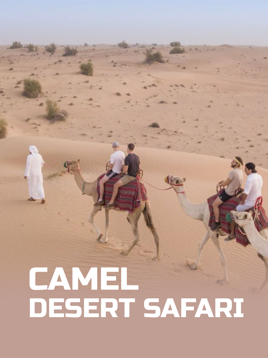 Camel Desert Safari