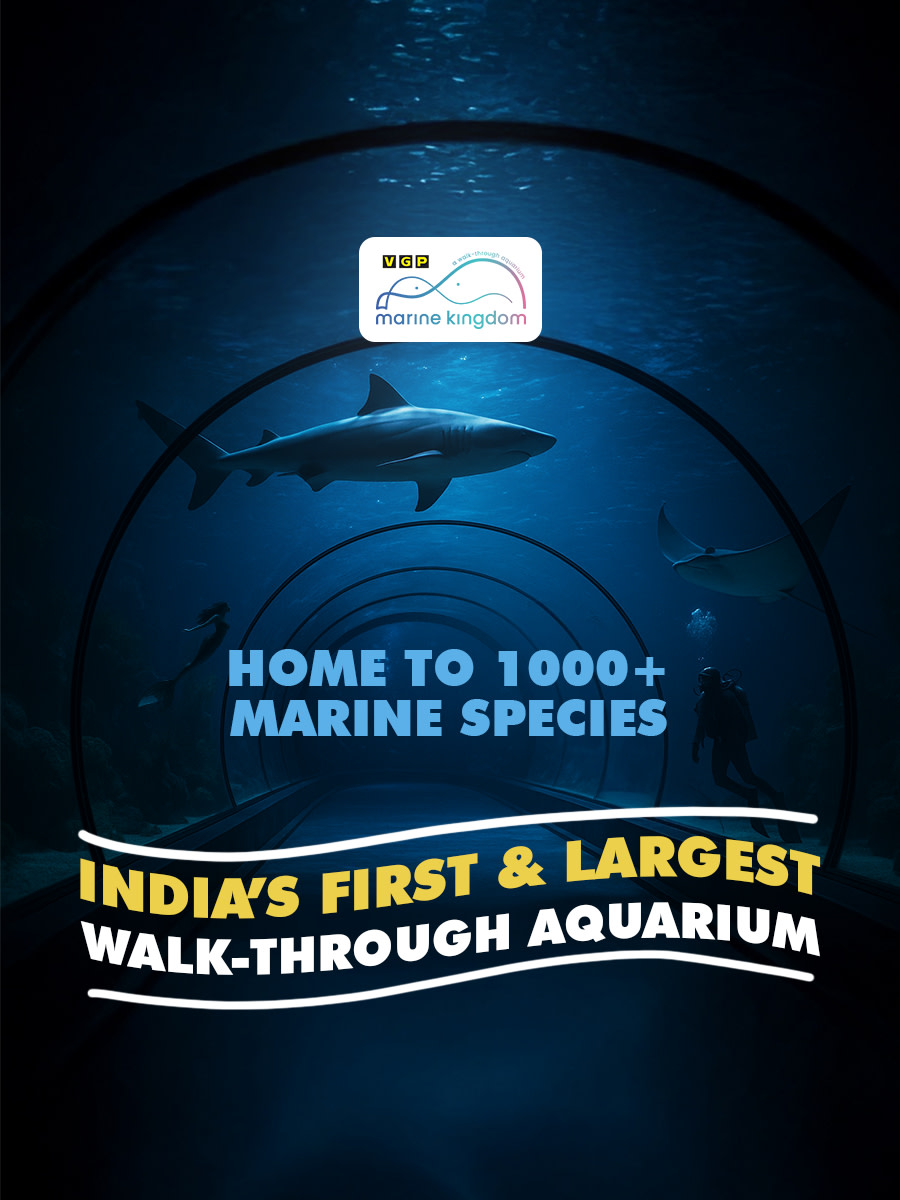 VGP Marine Kingdom | Chennai