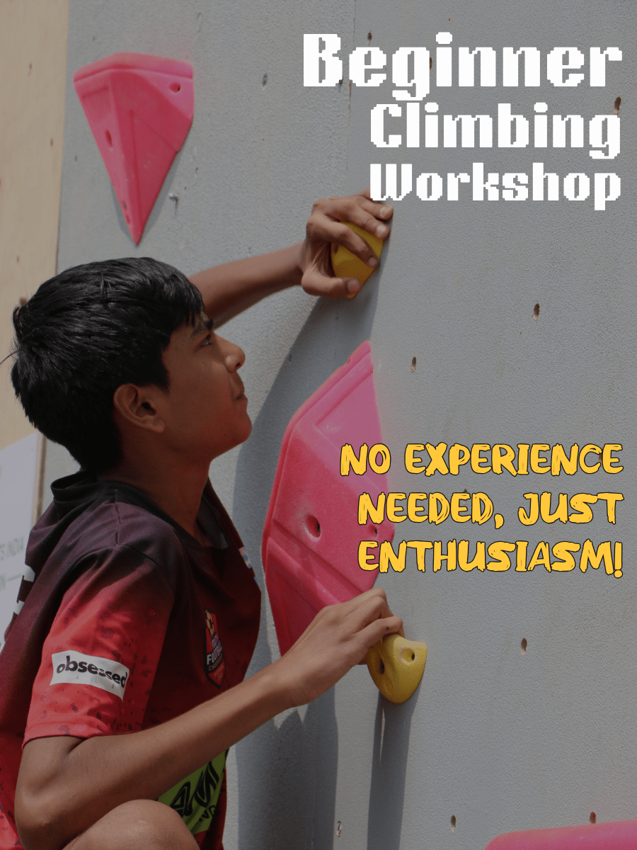 Beginner Climbing Workshop