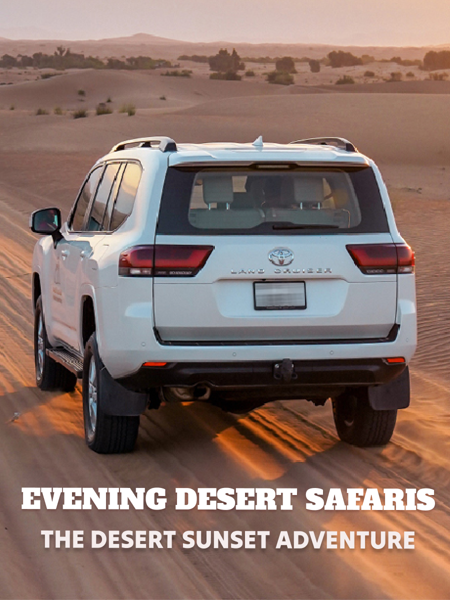 Evening Desert Safaris