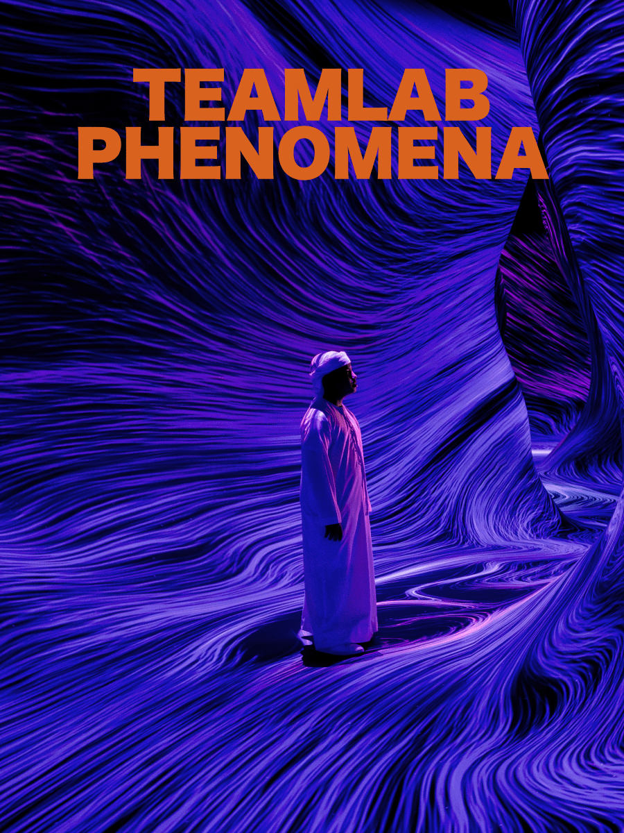 TeamLab Phenomena