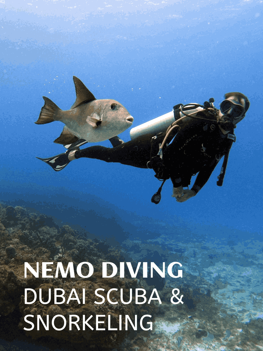 Nemo Diving – Dubai Scuba & Snorkeling