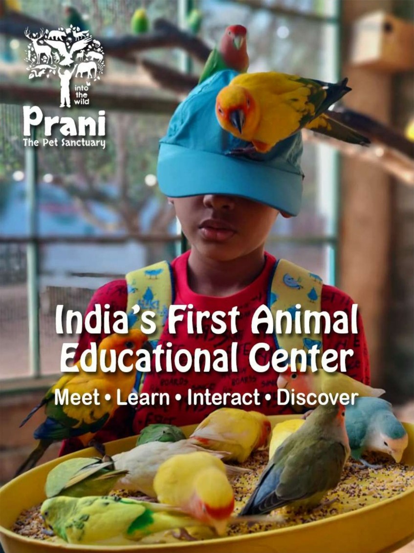 Prani – The Pet Sanctuary