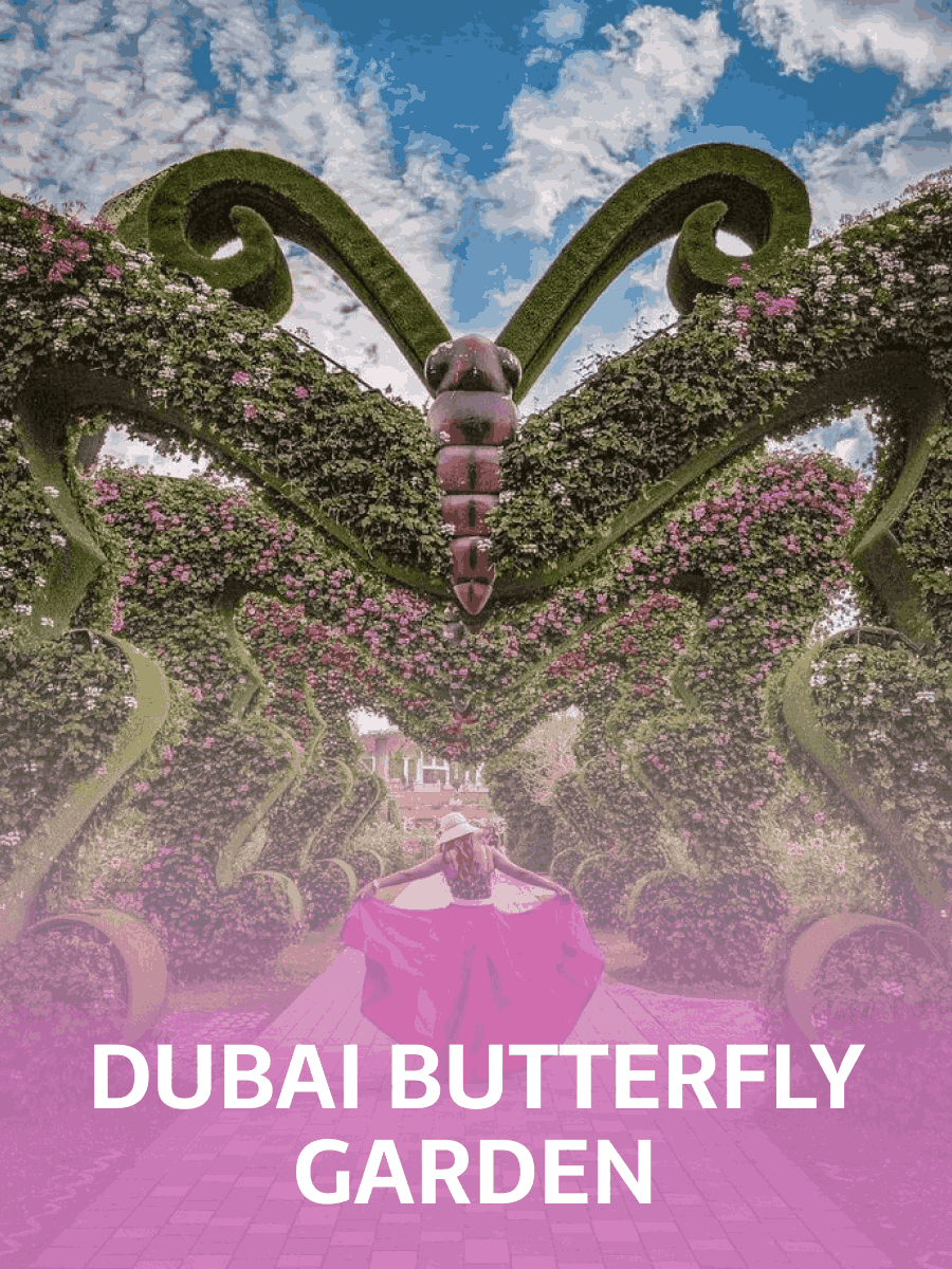 Dubai Butterfly Garden - General Admission