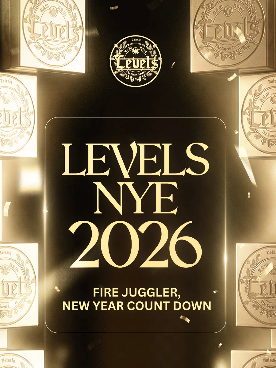 Levels NYE 2026