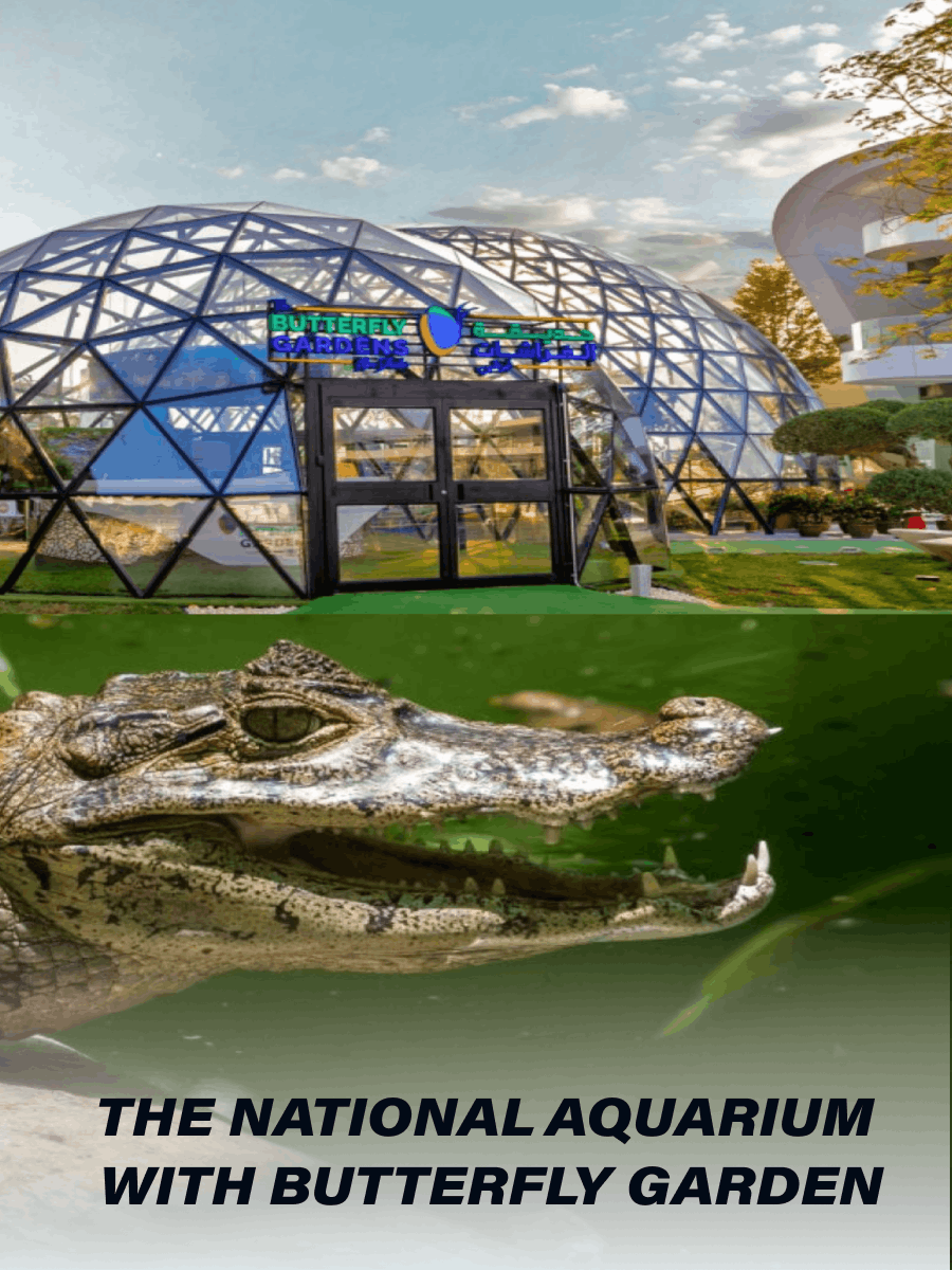 The National Aquarium Abu Dhabi - All-Access Pass with Butterfly Garden Abu Dhabi