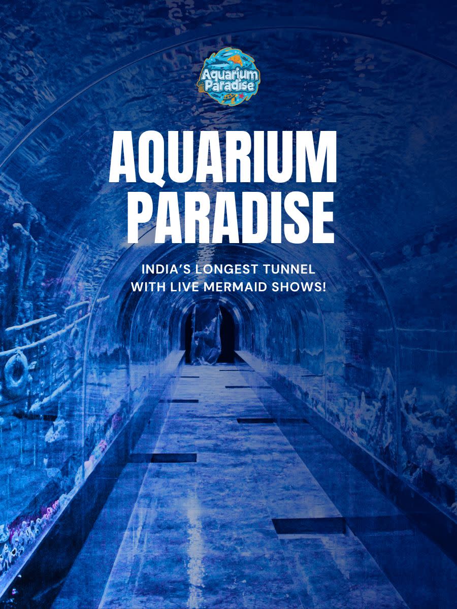 Aquarium Paradise | Bengaluru