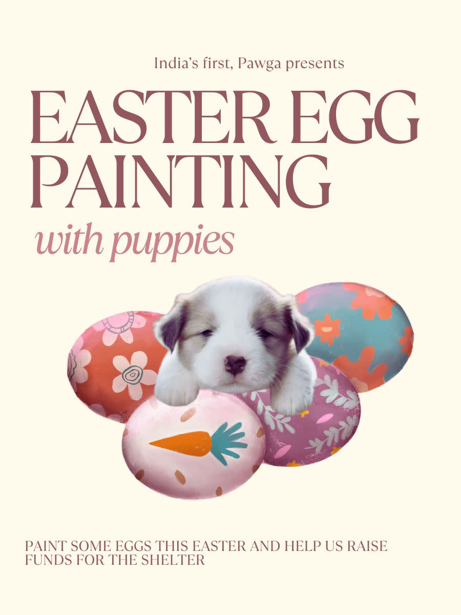 Easter Egg Painting w. Puppies | Uru Brewpark, J. P. Nagar