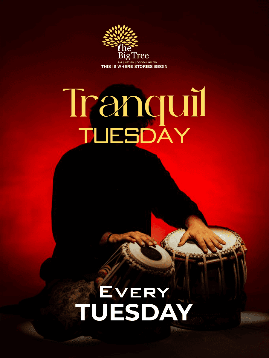 Tranquil Tuesday at The Big Tree