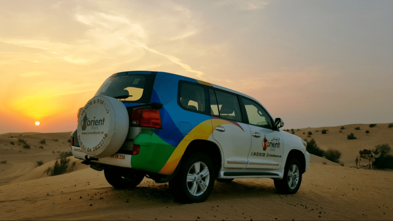 Night Desert Safaris