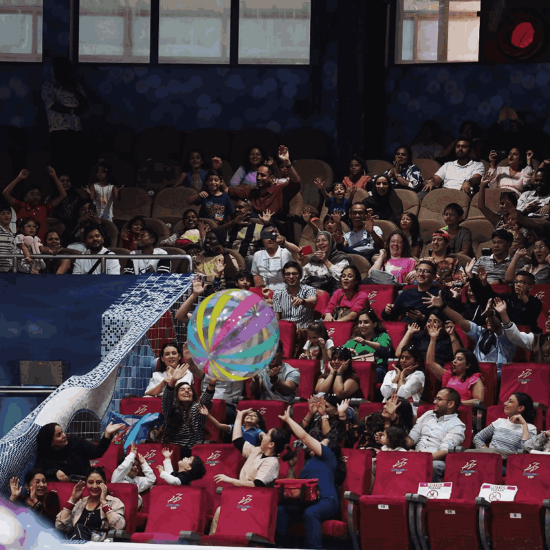 Dolphinarium - Seal & Dolphin Show